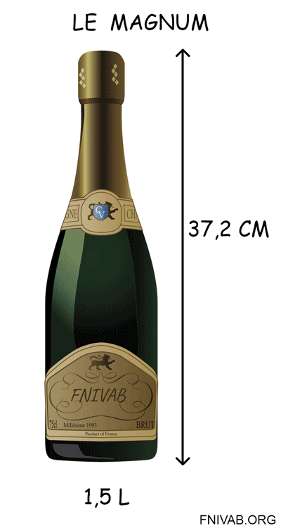 La taille des bouteilles de champagne, leur nom et d'où vient-il